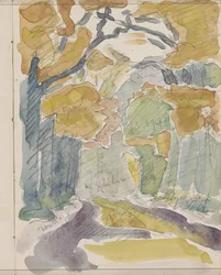Sentier forestier en automne