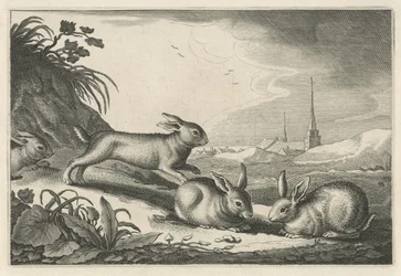 Paysage de dunes avec des lapins