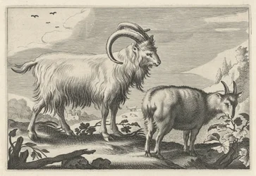 Paysage vallonné avec deux chèvres (Diversa Animalia Quadrupedia)