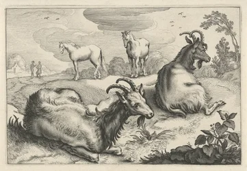 Paysage avec deux chèvres et deux chevaux (Diversa Animalia Quadrupedia)