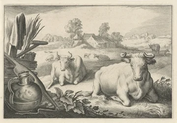 Prairie avec deux vaches couchées