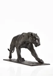 Panthère marchant, patte arrière levée, vers 1904