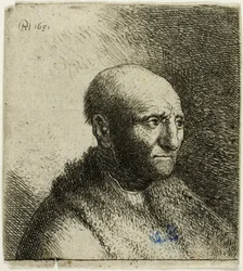 Homme chauve en manteau de fourrure : buste
