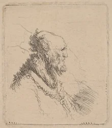 Vieil homme chauve avec une courte barbe de profil