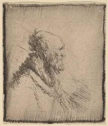 Vieil homme chauve avec une courte barbe de profil