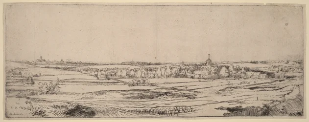 Paysage avec vue sur Haarlem (Le champ des peseurs d
