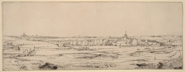 Paysage avec vue sur Haarlem (Le champ des peseurs d