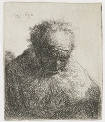 Vieil homme à la barbe flottante, épaule gauche non ombrée