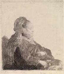 Sans titre