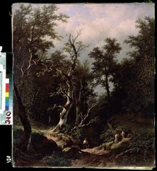Paysage de forêt