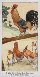 Proverbe oriental : Si tu es une poule, alors ponds des œufs ; si tu es un coq, alors chante