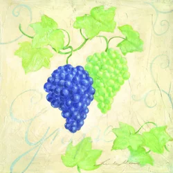 Raisins verts et bleus frais