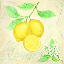 Citrons frais - Botanique
