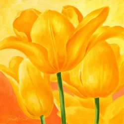 Tulipes jaunes ensoleillées