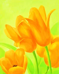 Des tulipes orange vif
