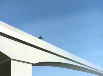 Pont