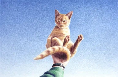 Plein les mains