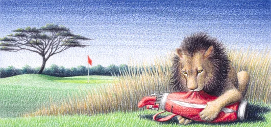 Lion 2