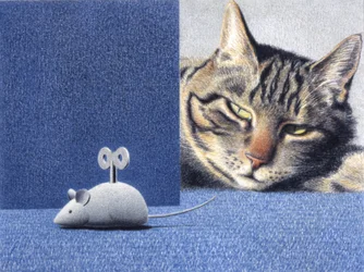 Souris
