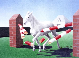 Obstacle