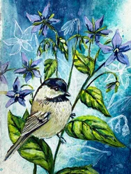 Mésange bleue du jardin