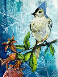 Mésange huppée et grenade
