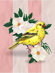 Roses sauvages Yellow Bird