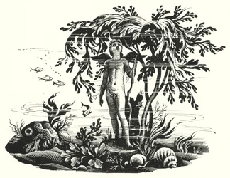 Hans Christian Andersen : La petite sirène