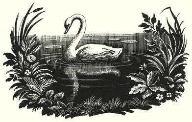 Hans Christian Andersen : Le Vilain Petit Canard