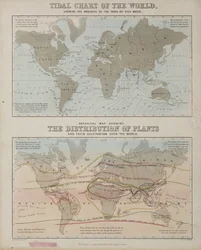 Une carte des marées et une carte de la distribution des plantes à travers le monde, vers 1850