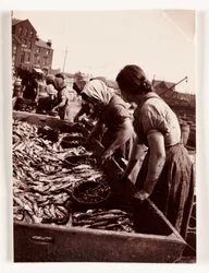 Pêche, femmes pêcheuses triant le poisson, port de Whitby, North Yorkshire, vers 1905