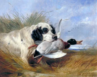 Chien avec canard sauvage, 19e siècle