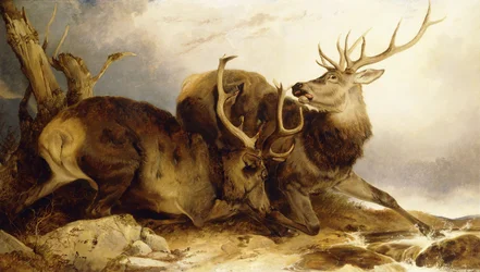 Le Combat, 1847