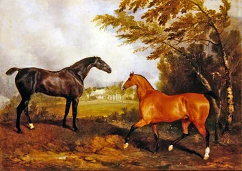 Scène équestre