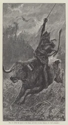 Nada la Lys, par H. Rider Haggard