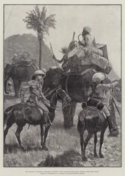 Nos troupes en Birmanie, infanterie montée avec des éléphants de bagages traversant les collines Shan