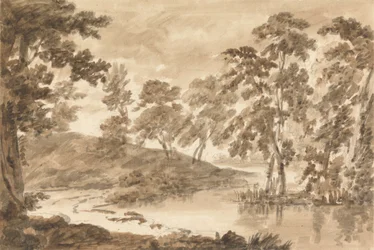 Paysage forestier