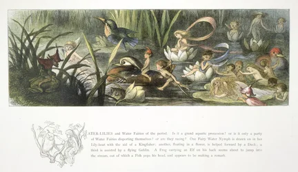 Nénuphars et fées de l