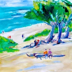 Cyprès et plage, Carmel, 2019