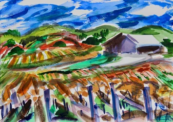 Napa en automne