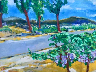 Vignoble en bord de route, Napa