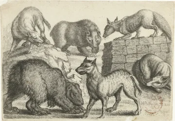 Deux ours, deux loups et deux renards
