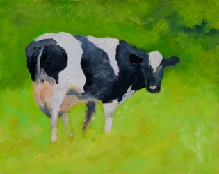 Vache noire et blanche
