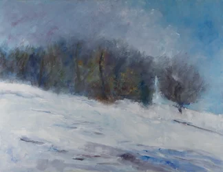Forêt enneigée en hiver