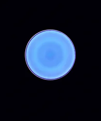 Cercle X, 2005