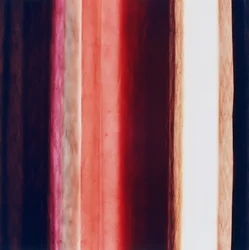 Rayure XI, 2005