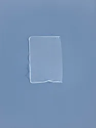 Sans titre, 2001