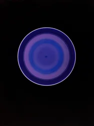 Sans titre, 2004