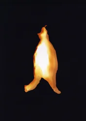Sans titre, 2004