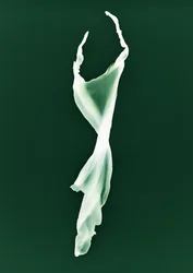 Sans titre, 2004